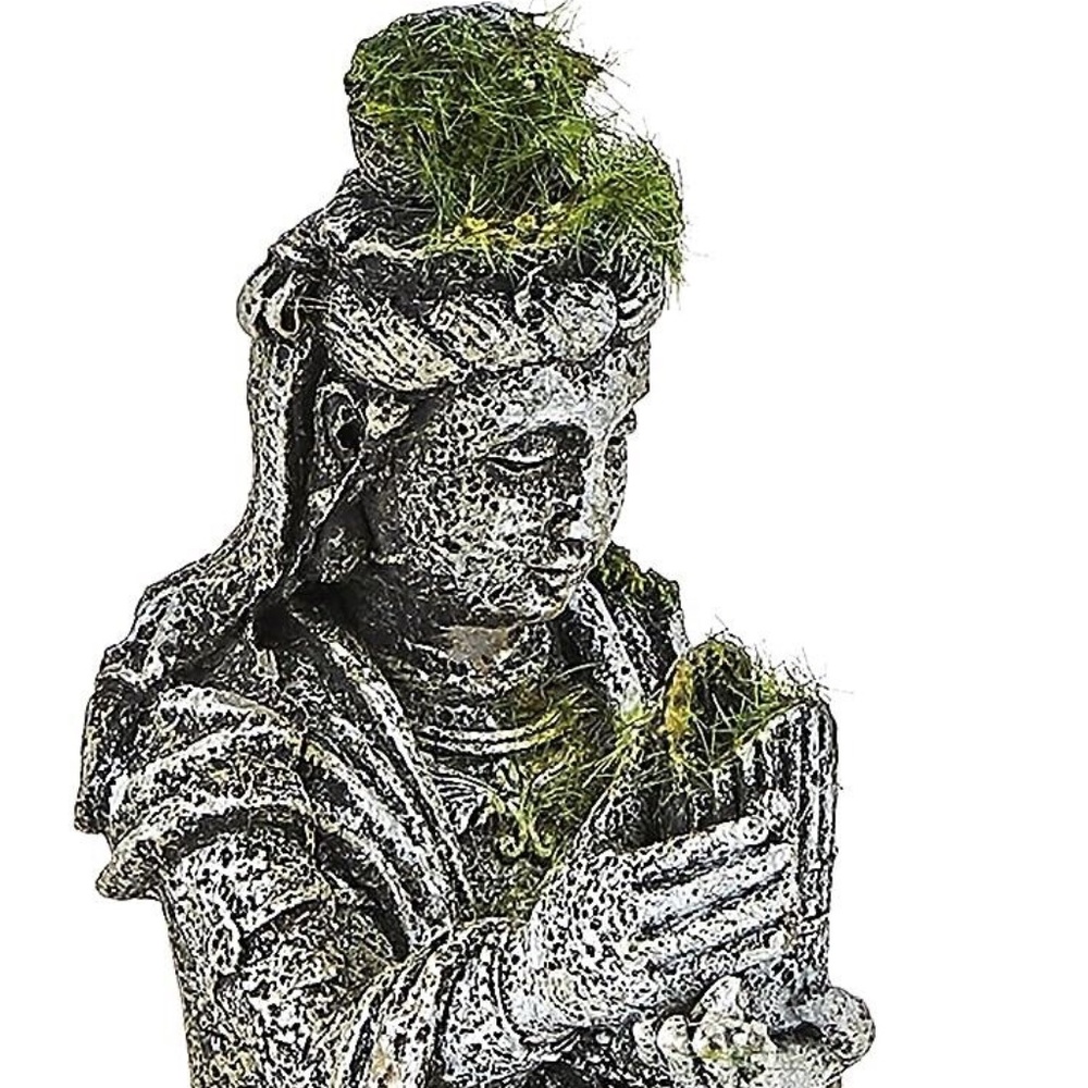 Blue Ribbon Ancient Buddha Statue Moss Exotic Environment Aquarium Ornament 7X4"